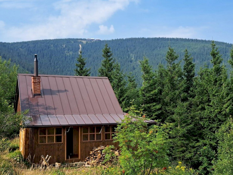 54040-20250816_113124