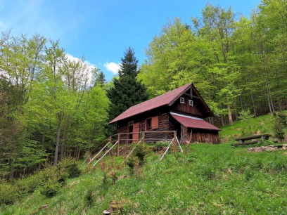 52804-20250508_125203