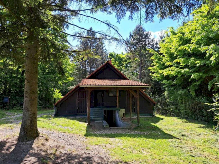 53031-20250509_144302